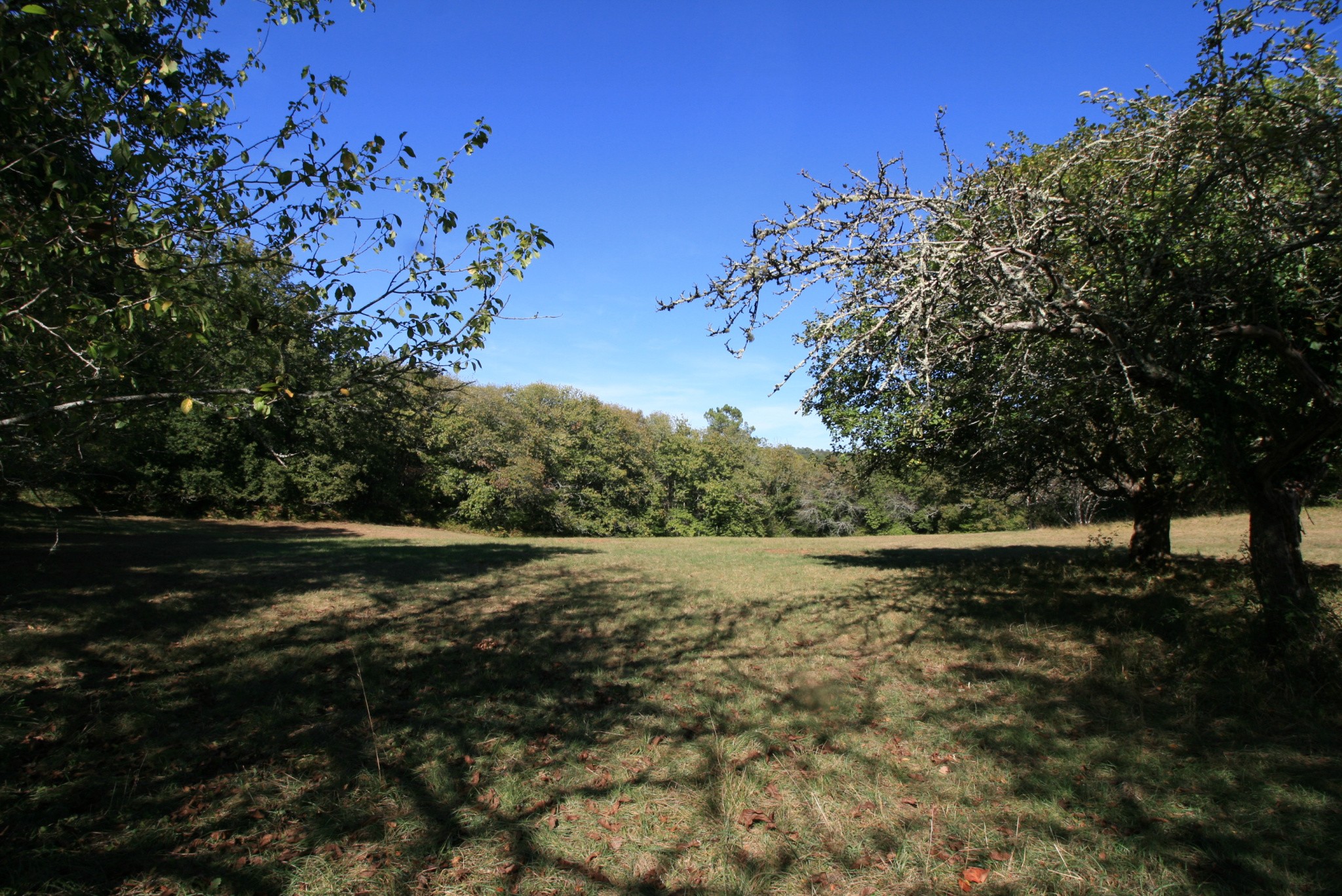 Vente Maison à les Eyzies-de-Tayac-Sireuil 6 pièces