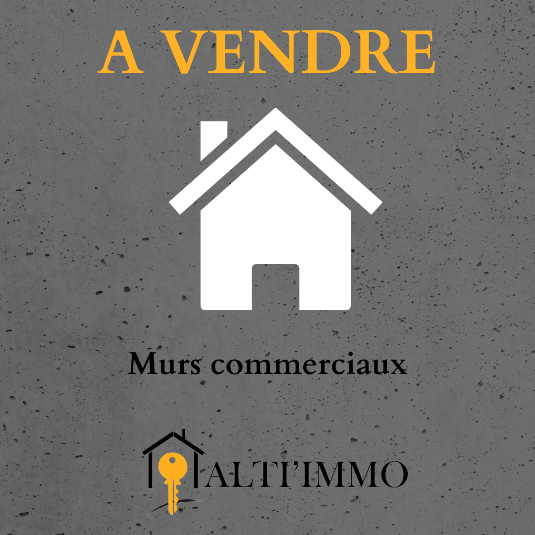 Vente Bureau / Commerce à le Puy-en-Velay 0 pièce