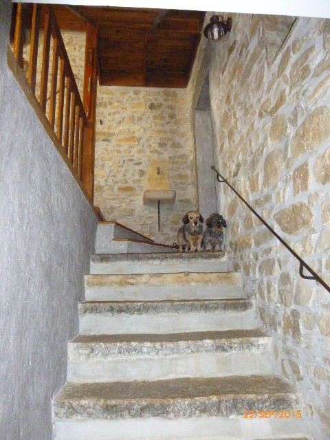 Vente Maison à Saint-Hippolyte-du-Fort 14 pièces