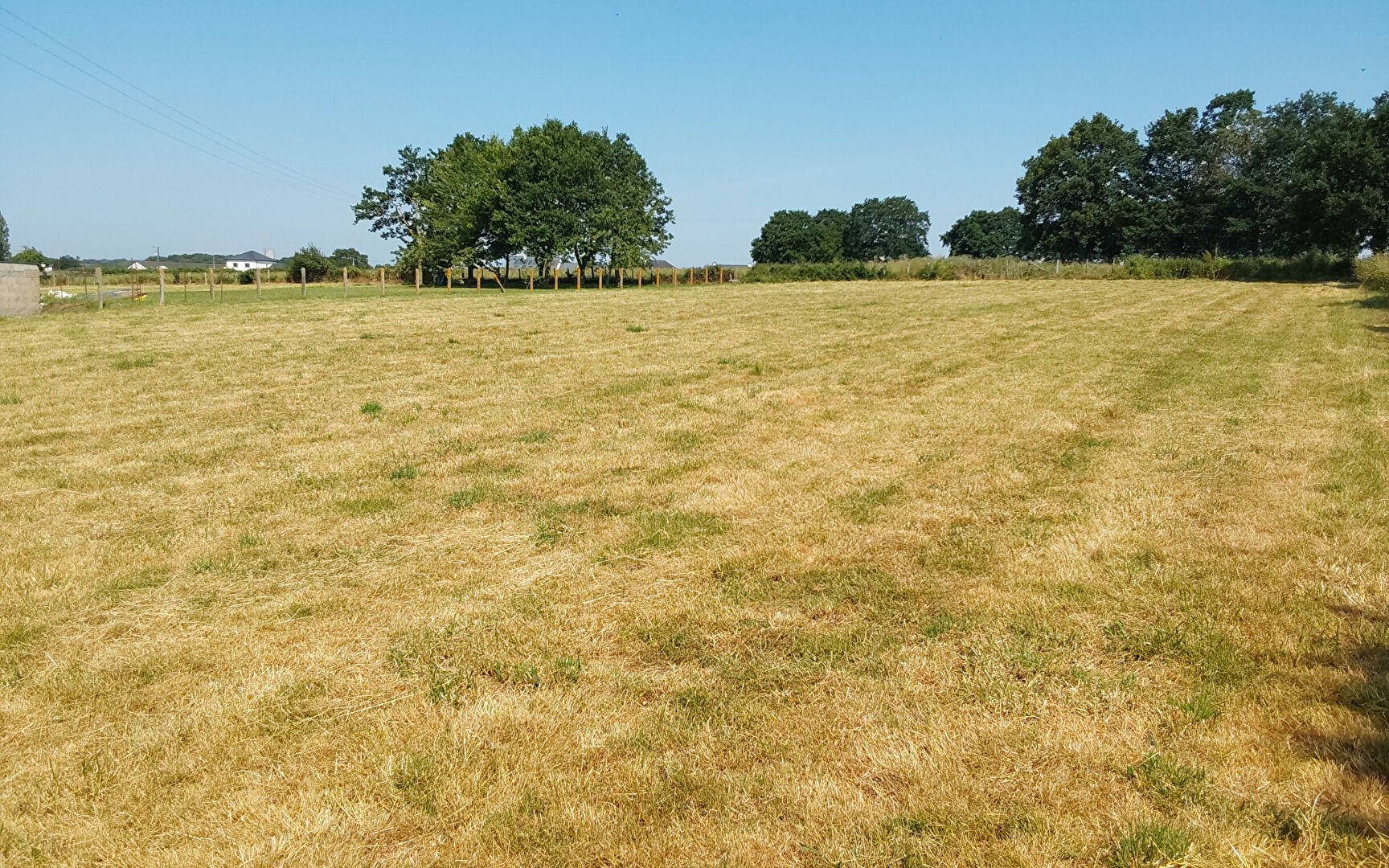 Vente Terrain à Pipriac 0 pièce