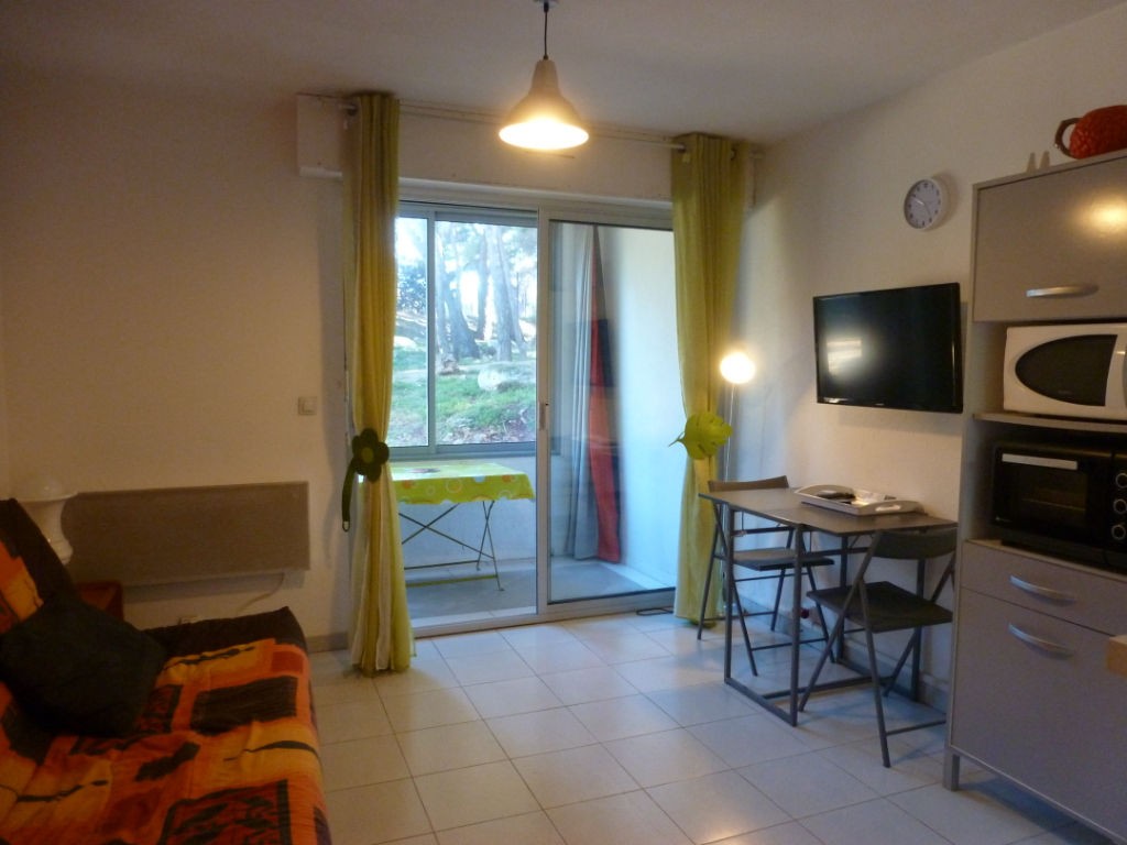 Vente Appartement à Balaruc-les-Bains 1 pièce