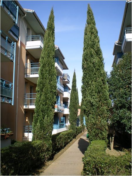Location Appartement à Toulouse 2 pièces