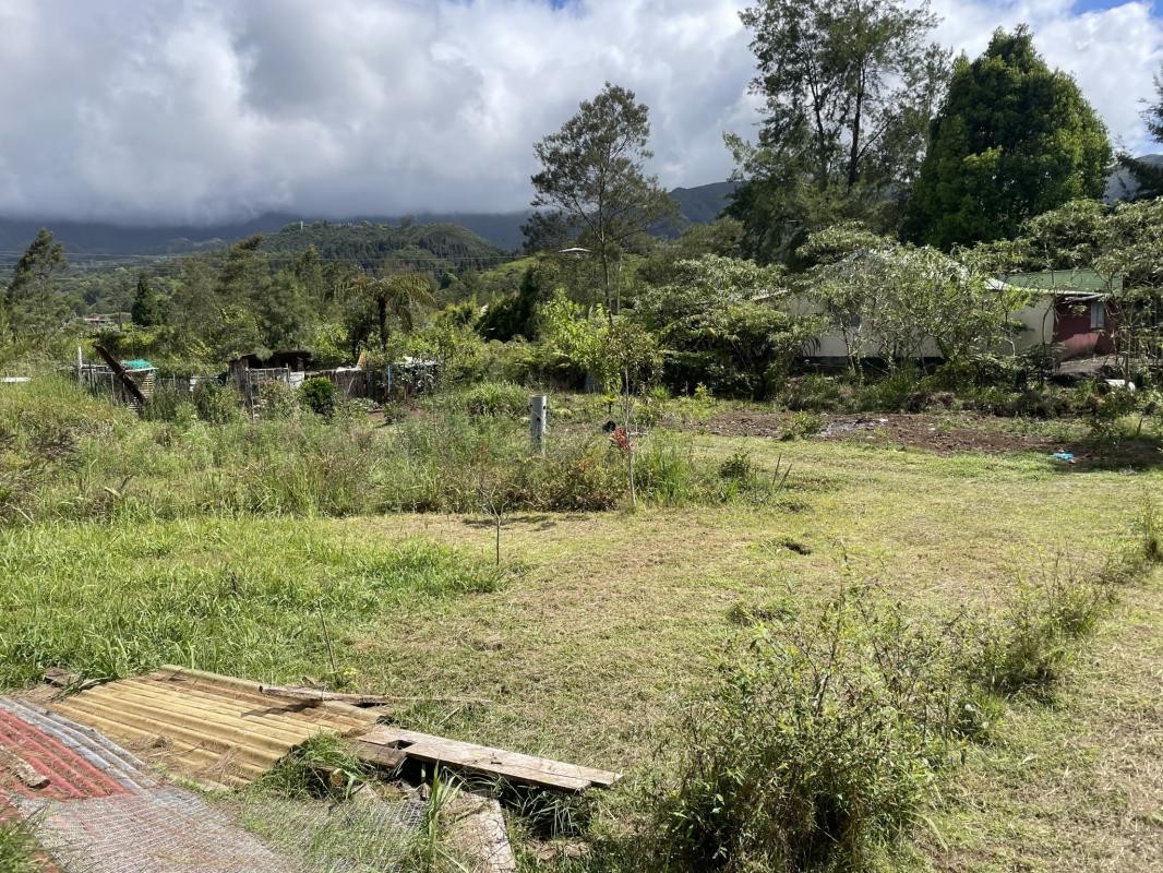 Vente Terrain à la Plaine-des-Palmistes 0 pièce