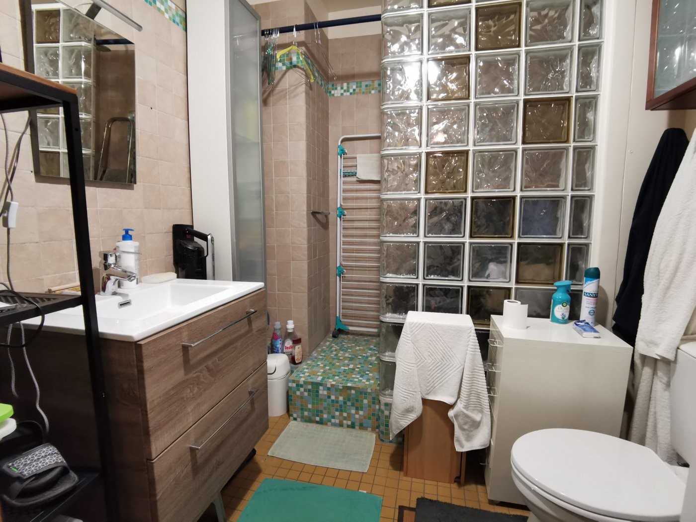 Viager Appartement à Paris Gobelins 13e arrondissement 1 pièce